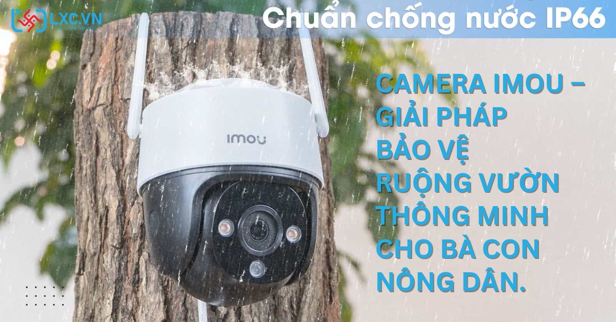 Camera IMOU – Giải pháp bảo vệ ruộng vườn thông minh cho bà con nông dân